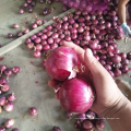 China red onion 5-7 factory supply, high quality fresh onion export